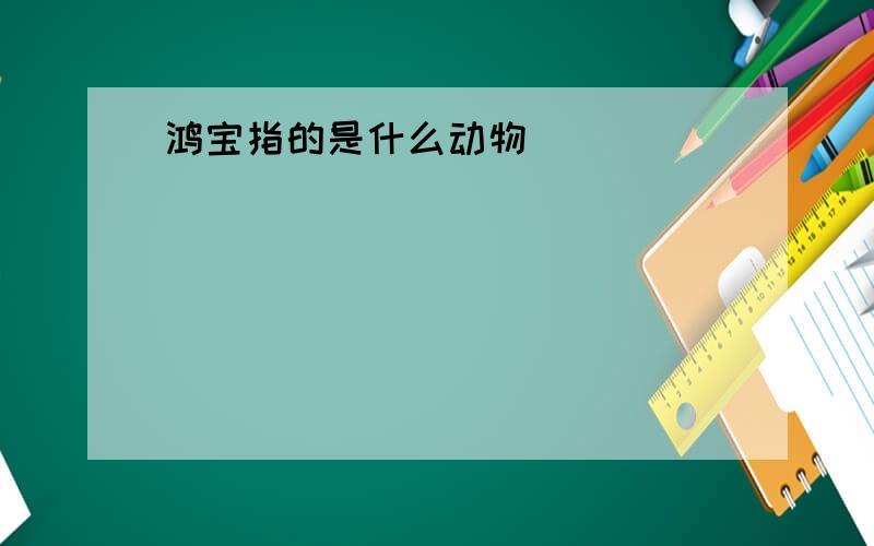 鸿宝指的是什么动物