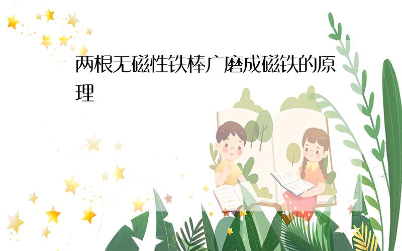 两根无磁性铁棒广磨成磁铁的原理