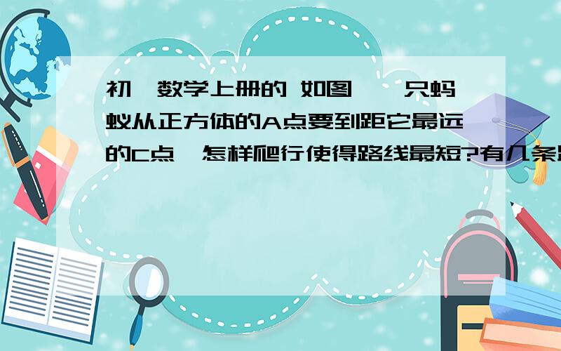 初一数学上册的 如图,一只蚂蚁从正方体的A点要到距它最远的C点,怎样爬行使得路线最短?有几条路线?