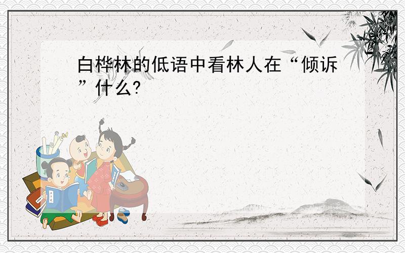 白桦林的低语中看林人在“倾诉”什么?