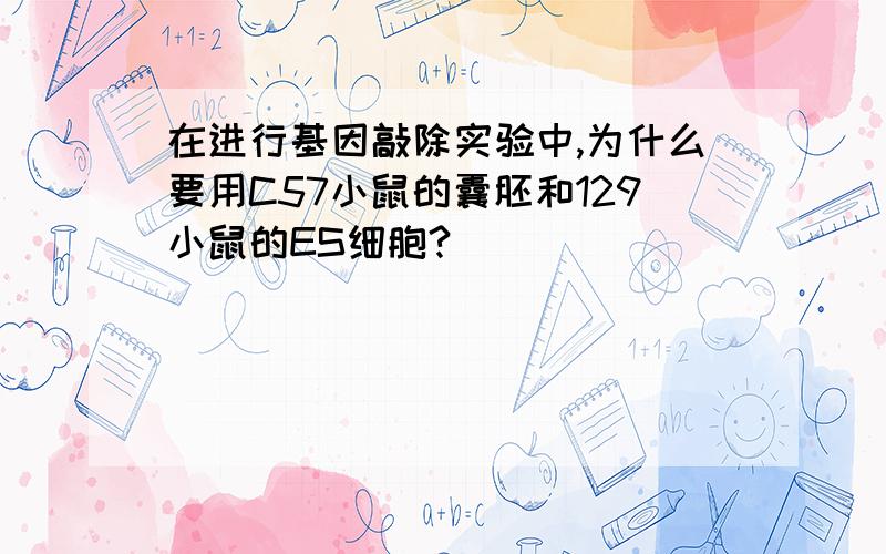 在进行基因敲除实验中,为什么要用C57小鼠的囊胚和129小鼠的ES细胞?