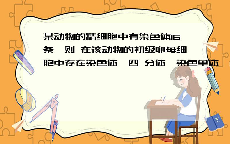 某动物的精细胞中有染色体16条,则 在该动物的初级卵母细胞中存在染色体、四 分体、染色单体、DNA分子数目