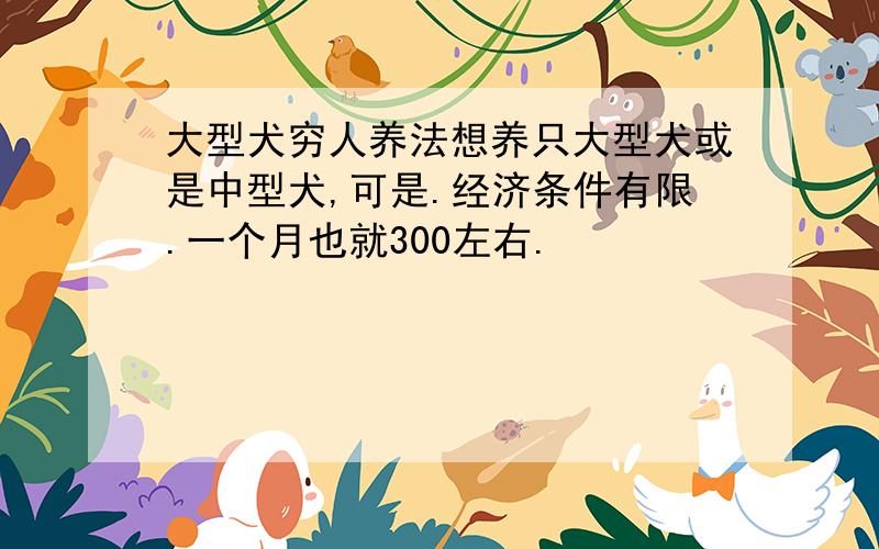 大型犬穷人养法想养只大型犬或是中型犬,可是.经济条件有限.一个月也就300左右.