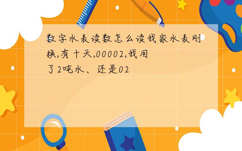 数字水表读数怎么读我家水表刚换,有十天,00002,我用了2吨水、还是02