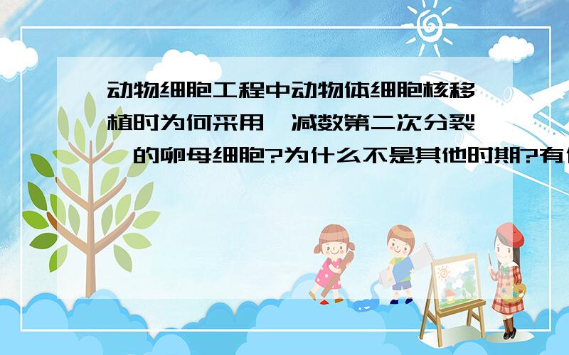 动物细胞工程中动物体细胞核移植时为何采用﹛减数第二次分裂﹜的卵母细胞?为什么不是其他时期?有什么作用?另外,性细胞在MⅡ中期是没有细胞核的,为何选修3专题二中写着“用微型吸管一