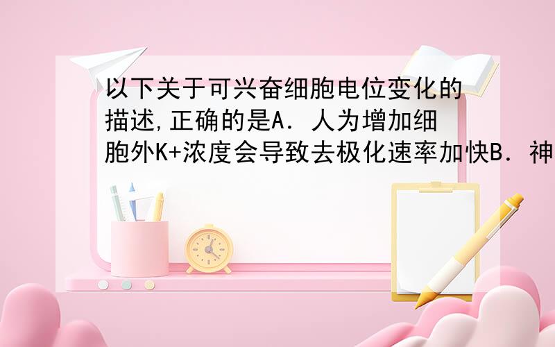 以下关于可兴奋细胞电位变化的描述,正确的是A．人为增加细胞外K+浓度会导致去极化速率加快B．神经细胞电位上升是由于Na+ 内流K+外流造成的 C．神经冲动就是动作电位,动作电位可沿细胞