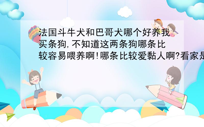 法国斗牛犬和巴哥犬哪个好养我买条狗,不知道这两条狗哪条比较容易喂养啊!哪条比较爱黏人啊?看家是不是法国斗牛犬好点啊?