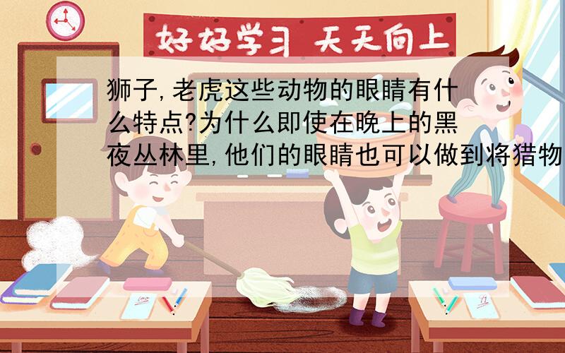 狮子,老虎这些动物的眼睛有什么特点?为什么即使在晚上的黑夜丛林里,他们的眼睛也可以做到将猎物看得清清楚楚?