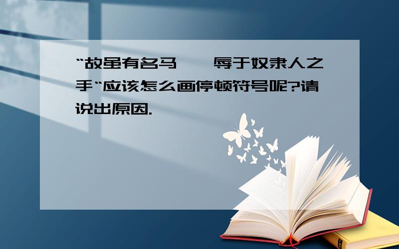 “故虽有名马,祗辱于奴隶人之手“应该怎么画停顿符号呢?请说出原因.