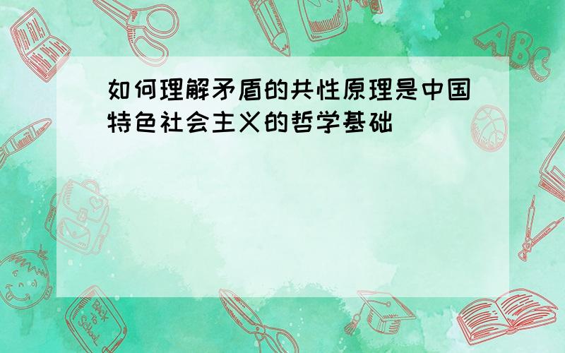 如何理解矛盾的共性原理是中国特色社会主义的哲学基础