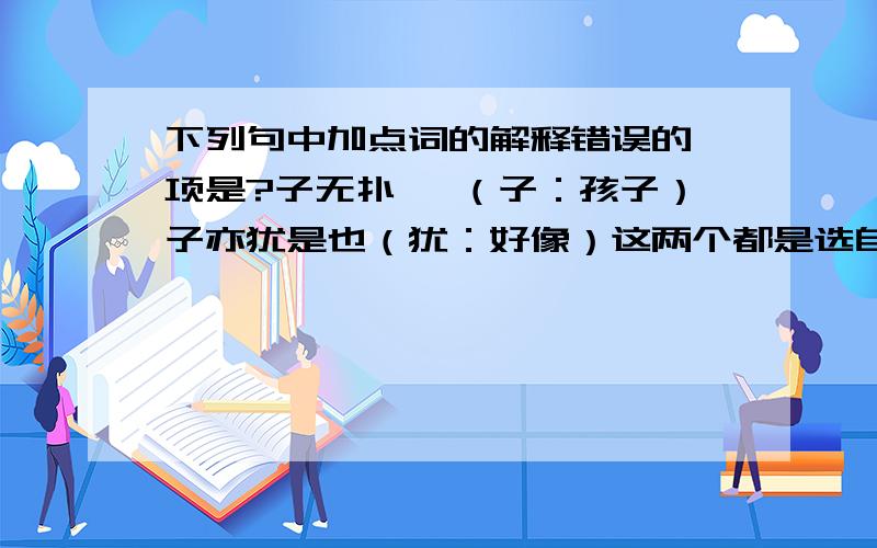 下列句中加点词的解释错误的一项是?子无扑矣 （子：孩子）子亦犹是也（犹：好像）这两个都是选自杨布打狗的