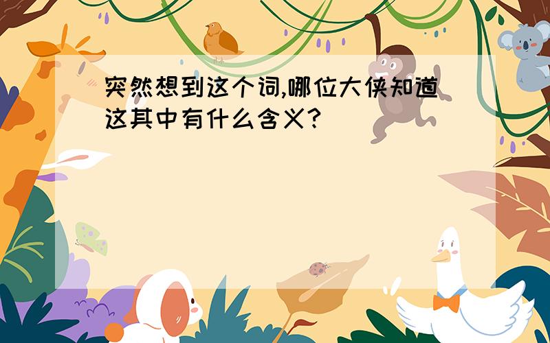 突然想到这个词,哪位大侠知道这其中有什么含义?