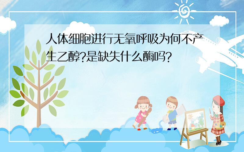 人体细胞进行无氧呼吸为何不产生乙醇?是缺失什么酶吗?