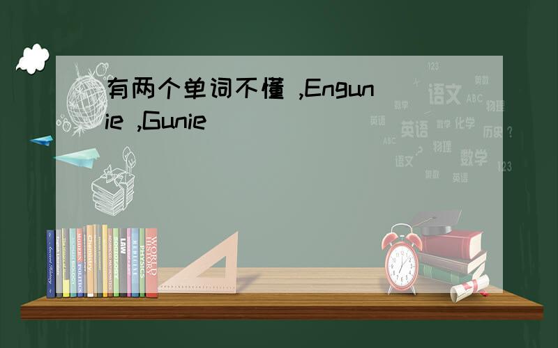 有两个单词不懂 ,Engunie ,Gunie