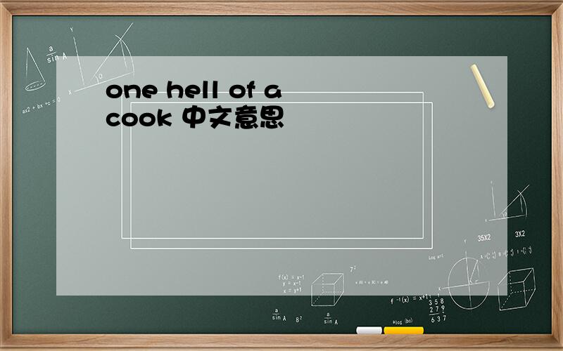 one hell of a cook 中文意思