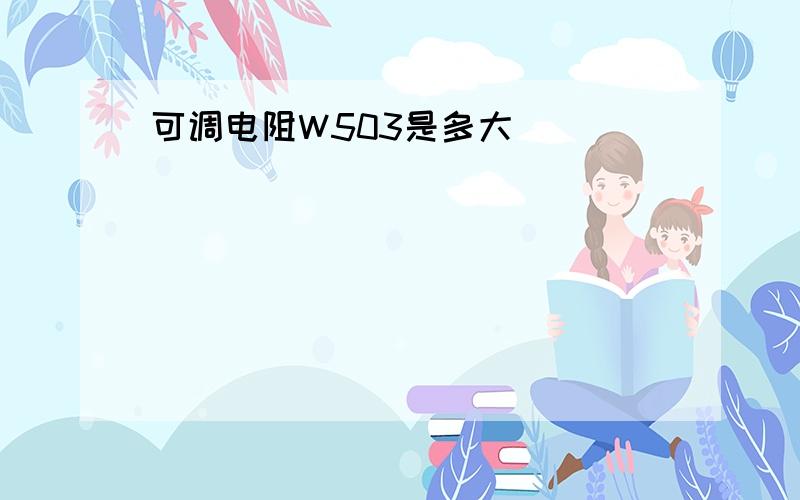 可调电阻W503是多大