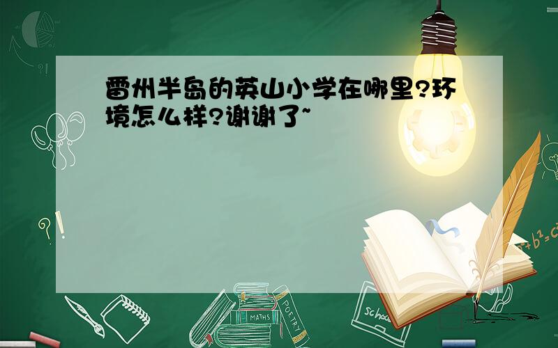 雷州半岛的英山小学在哪里?环境怎么样?谢谢了~