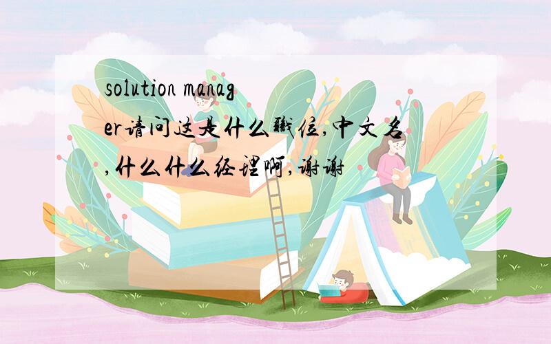 solution manager请问这是什么职位,中文名,什么什么经理啊,谢谢