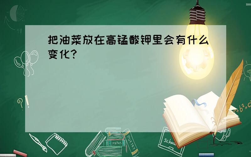 把油菜放在高锰酸钾里会有什么变化?