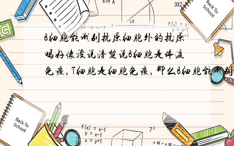 B细胞能识别抗原细胞外的抗原吗好像没说清楚说B细胞是体液免疫，T细胞是细胞免疫，那么B细胞能识别抗原细胞吗，还是只有T细胞能识别