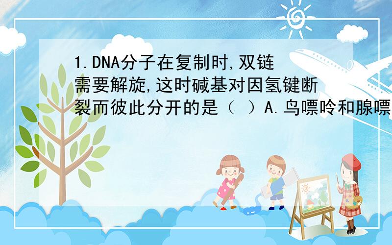 1.DNA分子在复制时,双链需要解旋,这时碱基对因氢键断裂而彼此分开的是（ ）A.鸟嘌呤和腺嘌呤 B.腺嘌呤和胸腺嘧啶 C.腺嘌呤和胞嘧啶 D.鸟嘌呤和尿嘧啶2.一个基因片段中含有120个碱基,那么该