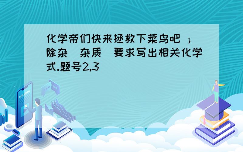 化学帝们快来拯救下菜鸟吧 ；除杂（杂质）要求写出相关化学式.题号2,3