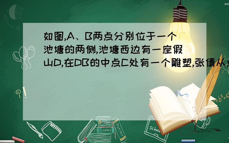 如图,A、B两点分别位于一个池塘的两侧,池塘西边有一座假山D,在DB的中点C处有一个雕塑,张倩从点A出发,如图，A、B两点分别位于一个池塘的两侧，池塘西边有一座假山D，在DB的中点C处有一个