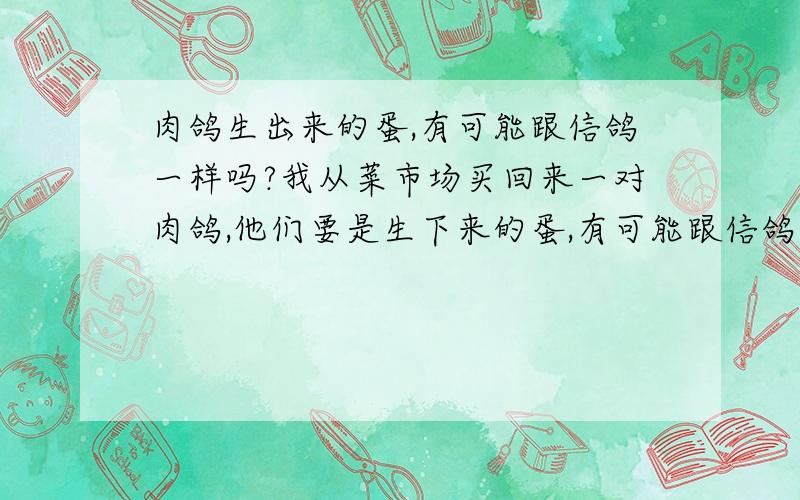 肉鸽生出来的蛋,有可能跟信鸽一样吗?我从菜市场买回来一对肉鸽,他们要是生下来的蛋,有可能跟信鸽一样吗?