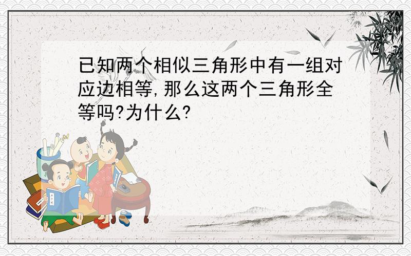 已知两个相似三角形中有一组对应边相等,那么这两个三角形全等吗?为什么?