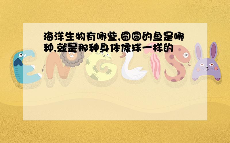 海洋生物有哪些,圆圆的鱼是哪种,就是那种身体像球一样的