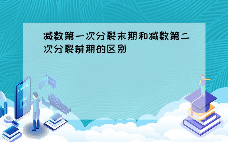 减数第一次分裂末期和减数第二次分裂前期的区别