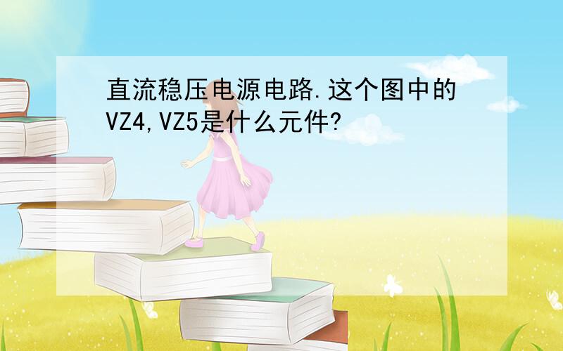 直流稳压电源电路.这个图中的VZ4,VZ5是什么元件?