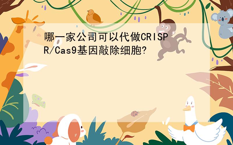 哪一家公司可以代做CRISPR/Cas9基因敲除细胞?