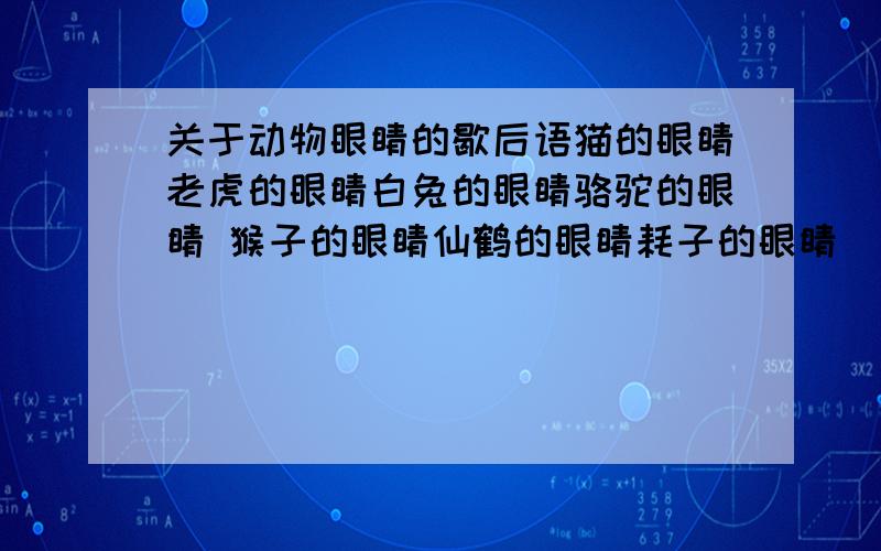 关于动物眼睛的歇后语猫的眼睛老虎的眼睛白兔的眼睛骆驼的眼睛 猴子的眼睛仙鹤的眼睛耗子的眼睛