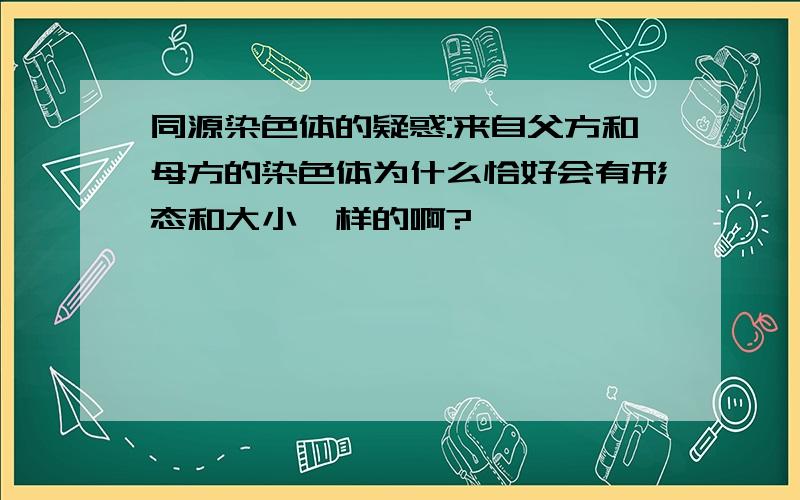 同源染色体的疑惑:来自父方和母方的染色体为什么恰好会有形态和大小一样的啊?