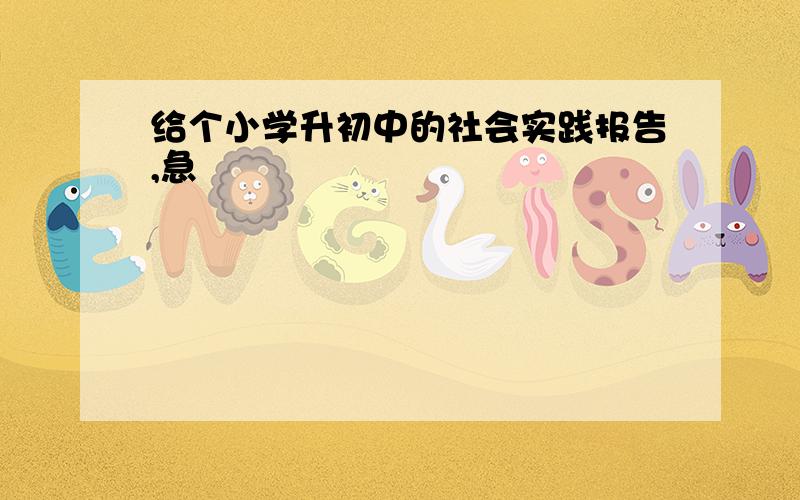 给个小学升初中的社会实践报告,急