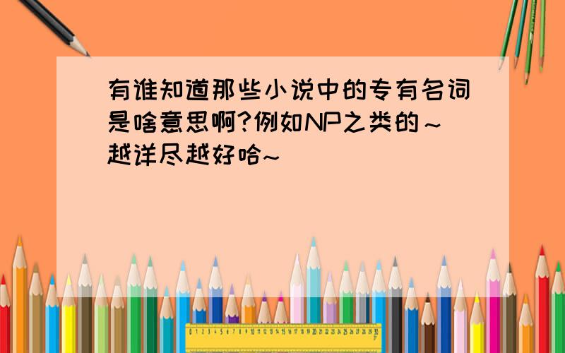 有谁知道那些小说中的专有名词是啥意思啊?例如NP之类的～越详尽越好哈~