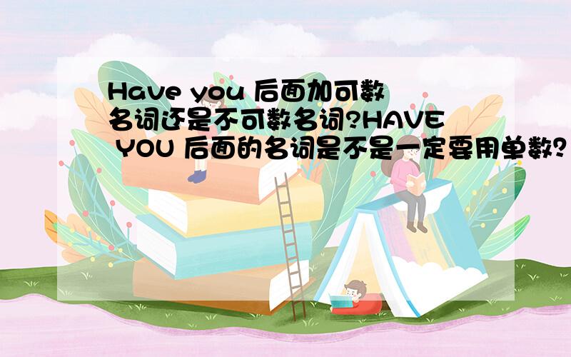 Have you 后面加可数名词还是不可数名词?HAVE YOU 后面的名词是不是一定要用单数？