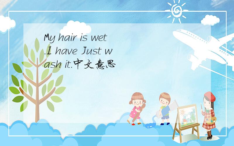 My hair is wet.I have Just wash it.中文意思