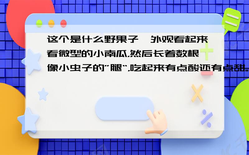 这个是什么野果子,外观看起来看微型的小南瓜，然后长着数根像小虫子的”腿“，吃起来有点酸还有点甜。