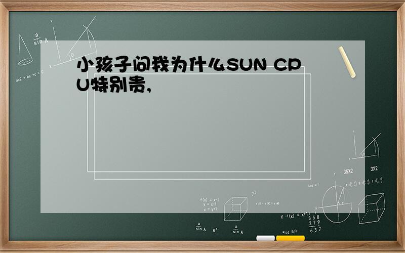 小孩子问我为什么SUN CPU特别贵,