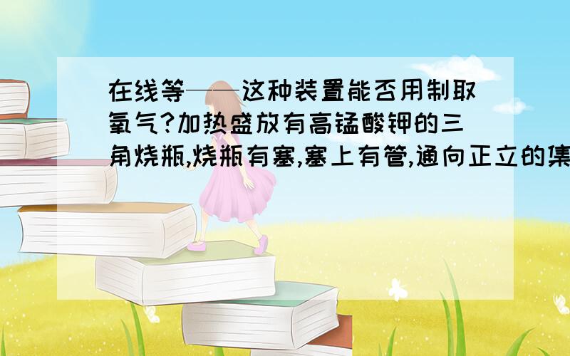 在线等——这种装置能否用制取氧气?加热盛放有高锰酸钾的三角烧瓶,烧瓶有塞,塞上有管,通向正立的集气瓶底部.