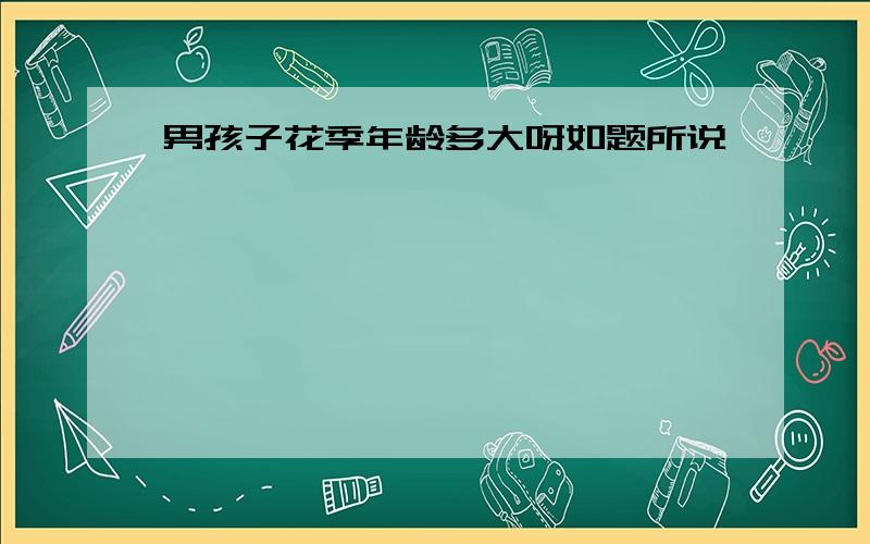 男孩子花季年龄多大呀如题所说