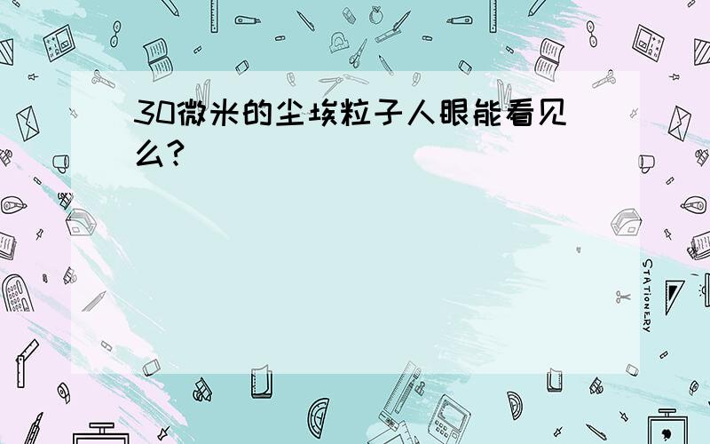 30微米的尘埃粒子人眼能看见么?