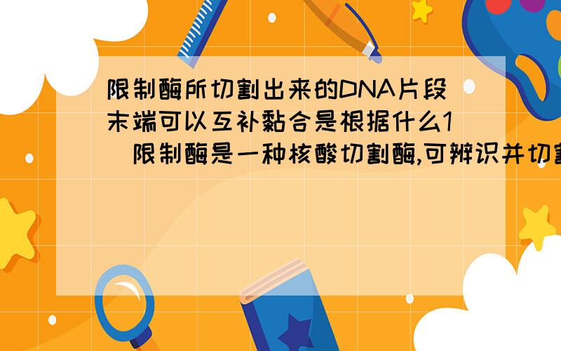 限制酶所切割出来的DNA片段末端可以互补黏合是根据什么1．限制酶是一种核酸切割酶,可辨识并切割DNA分子上特定的核苷酸碱基序列.下图为四种限制酶BamHI,EcoRI,HindⅢ以及BglⅡ的辨识序列.箭