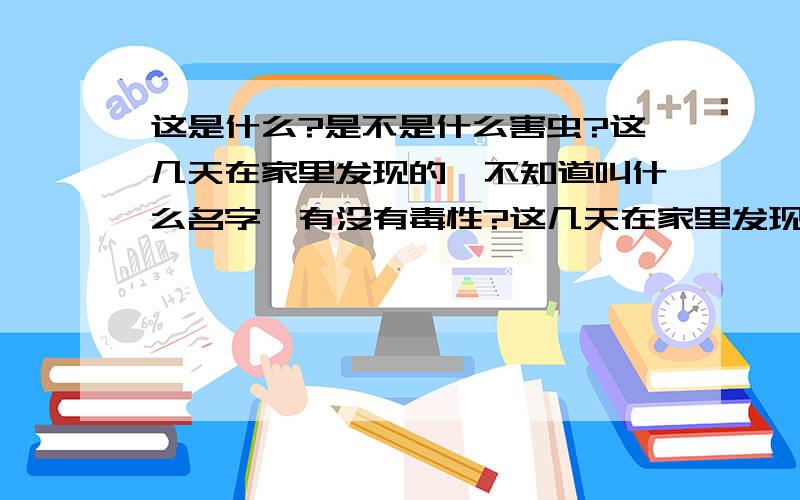 这是什么?是不是什么害虫?这几天在家里发现的,不知道叫什么名字,有没有毒性?这几天在家里发现的,不知道叫什么名字,有没有毒性?它有翅膀哦！家里有两个小孩子，我要了解这个东西的学