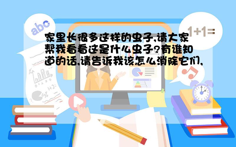 家里长很多这样的虫子,请大家帮我看看这是什么虫子?有谁知道的话,请告诉我该怎么消除它们,