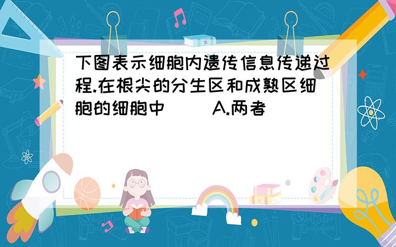 下图表示细胞内遗传信息传递过程.在根尖的分生区和成熟区细胞的细胞中() A.两者