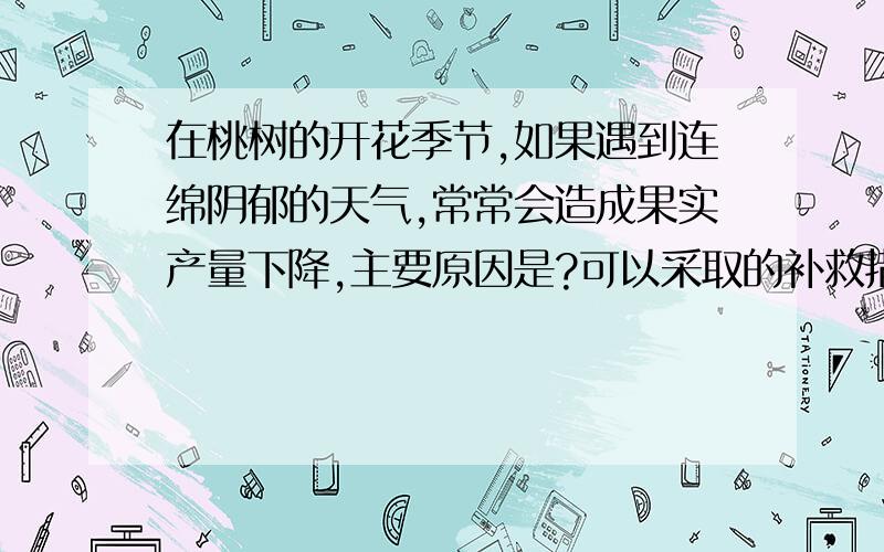 在桃树的开花季节,如果遇到连绵阴郁的天气,常常会造成果实产量下降,主要原因是?可以采取的补救措施是?