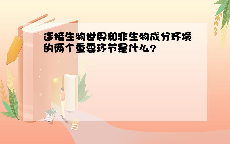 连接生物世界和非生物成分环境的两个重要环节是什么?